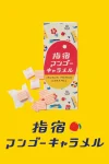 指宿マンゴーキャラメル３