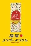 指宿マンゴーようかん3